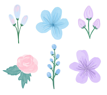 Set of wild flowers painted in watercolor for wedding designs. Vector illustration