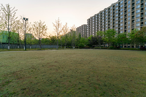 Lawn in front of residential building in morning light