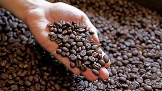 coffee beans roasted coffee beans on woman hand background texture