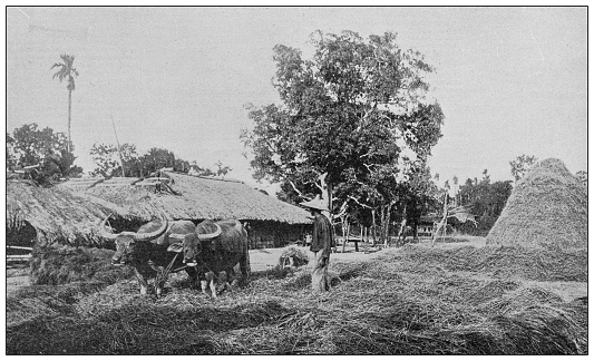 Antique photo: French colonization of North Vietnam, Tonkin