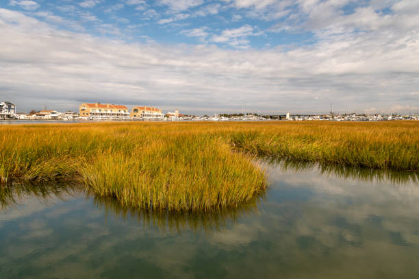istock Coast of Cape May, New Jersey 1400099781