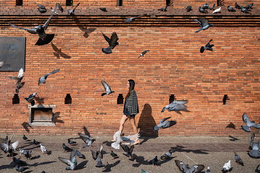 Beautiful brightly asian woman walking through flock of pigeon flying in Tha Phae gate landmark, Chiang Mai, Thailand