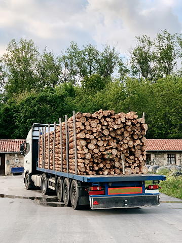 Truck loaded with logs - rear view