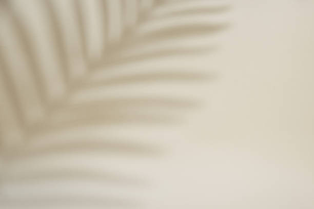 istock Shadow of palm leaf on pastel background 1400102381