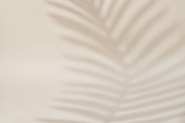 istock Shadow of palm leaf on pastel background 1400102385