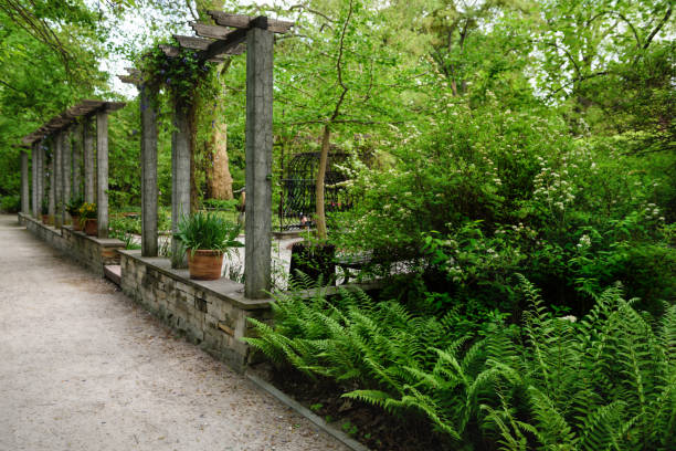 istock Concrete columns with wooden beams. 1400103763