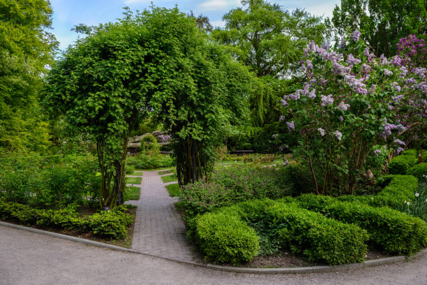 istock Entrance to the lawn. 1400103764