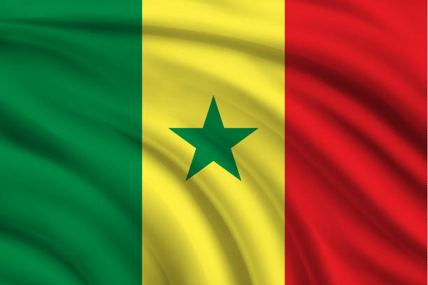 Flag of Senegal Flag of Senegal. Vector illustration sénégal stock illustrations