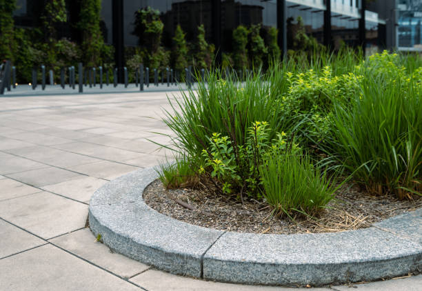 istock The lawn with plants is edged with a granite border. 1400105479