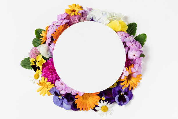 istock Spring and summer colorful flower border frame on white background. Flat lay, copy space for text, top view. Round wreath mockup pattern. 1400106803