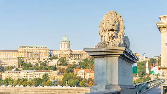 Beautiful detail from Chain Bridge, one of the famous city landmark with a statue of a lion and Buda Castle in the background, popular Budapest touristic attraction.