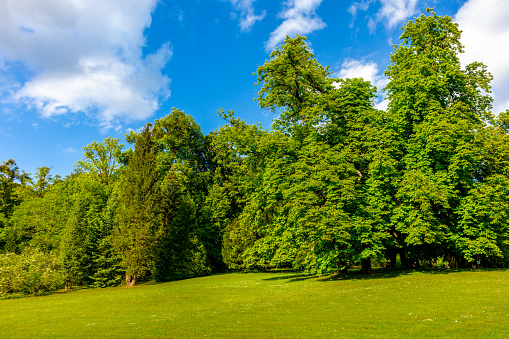 Summer walk in the beautiful Park in Altenstein near Bad Liebenstein - Thuringia - Germany