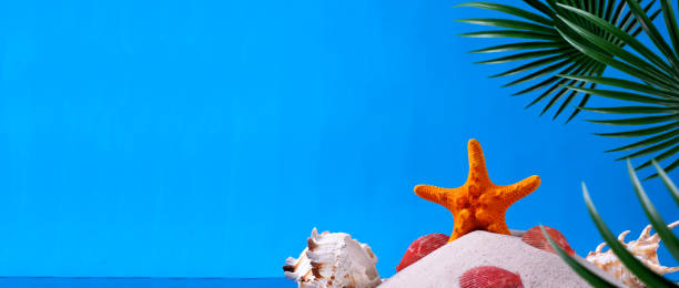 istock Web banner with starfish, seashells and palm leaves in the sand on blue 1400113700