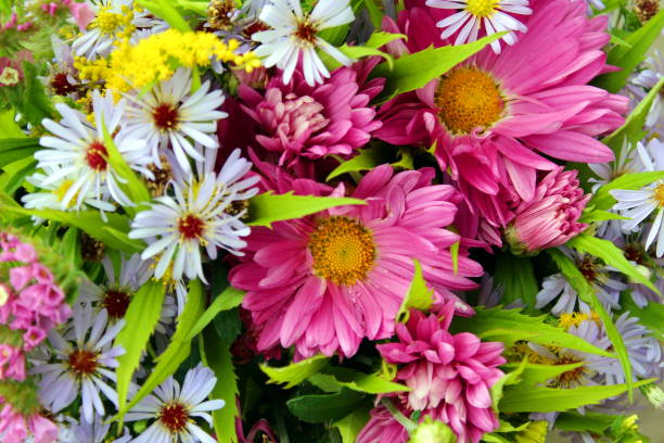 istock Beautiful floral texture with summer mood 1400118015