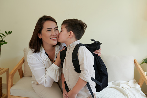 Little boy kissing smiling mother on cheek when leaving for school