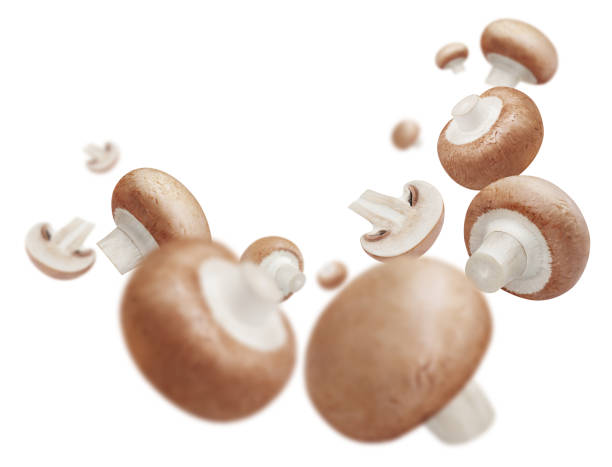 istock Flying champignon mushrooms on white 1400124345