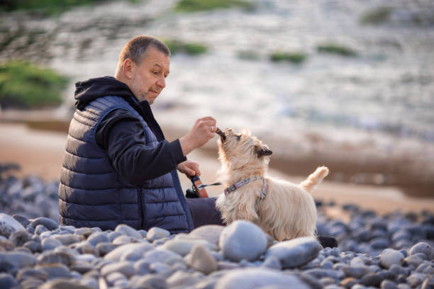 istock Man on the beach with a dog 1400125949