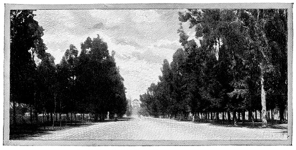 The Paseo de la Reforma (Promenade of the Reform) at Mexico City in Mexico State, Mexico. Vintage halftone etching circa 19th century.