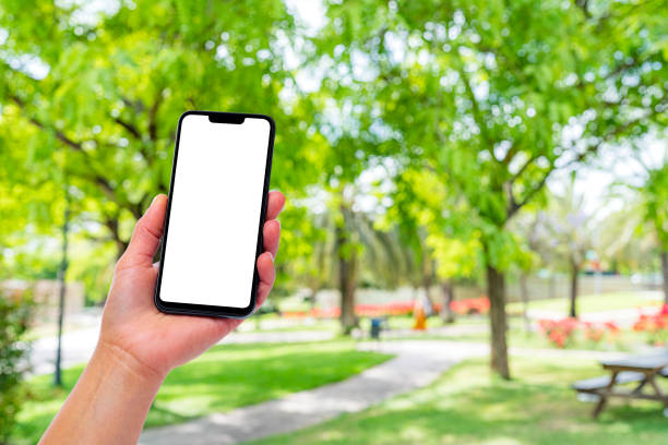 Mock up of a smartphone held by a woman's hand with defocused public park background. Blank screen ideal for app, text or image montage.