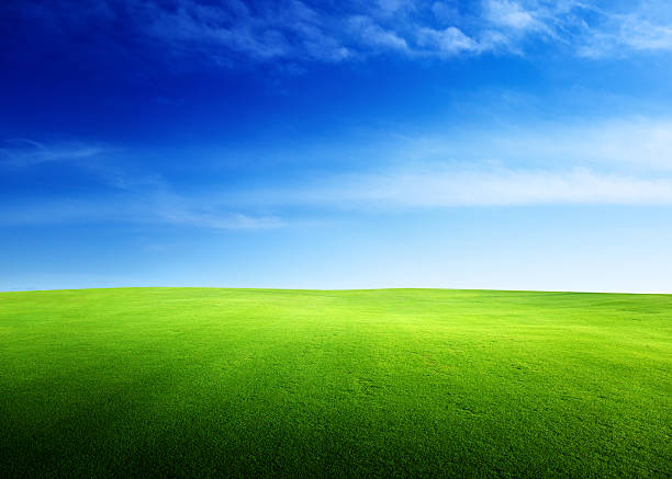 istock field of grass in sunset time 140012956