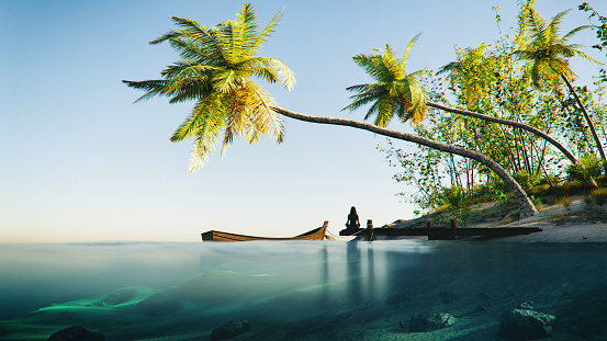 Tropical island, underwater/water surface view. All items in the scene are 3D