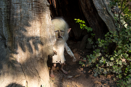 An old elf in the entry of his house in the forest