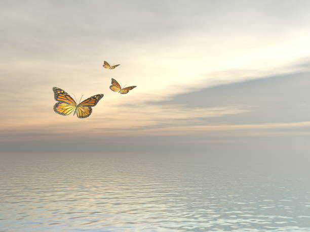 Three monarch butterflies flying upon the ocean - 3D render stock photo