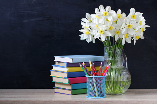 bouquet of daffodils, textbooks and pencils on the background of the blackboard. school composition.