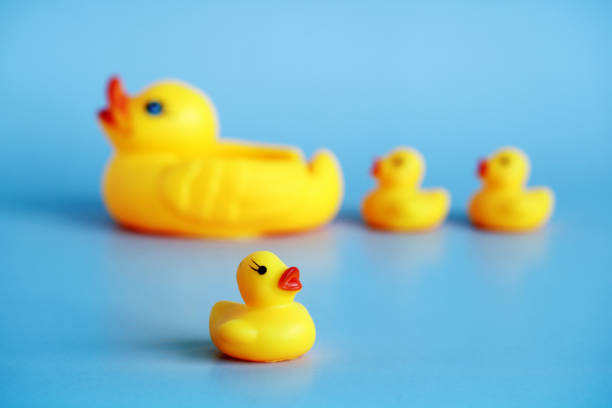 istock rubber duck with ducklings on a blue 1400135304