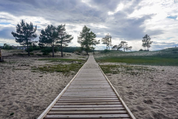 istock Wooden walkway in the sand 1400139659