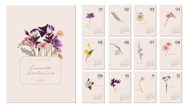 2023 calendar template on a botanical theme Calendar design concept with abstract seasonal flowers and plants. Set of 12 months 2022 pages. Herbarium. Vector illustration nature calendar stock illustrations