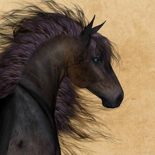 A horse having a very bad hair day.Half sillouetted with highlights.
