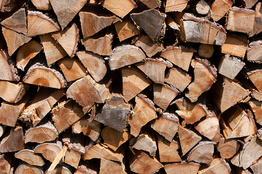 Close-up of cut firewood stacked on farm.