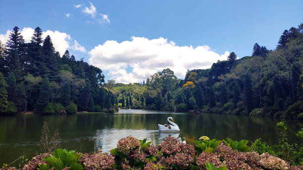 lago negro en gramado, brasil. - rio grande fotografías e imágenes de stock