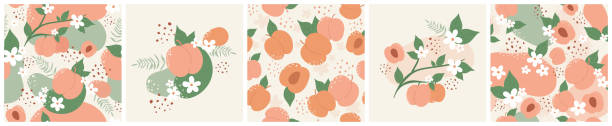 pfirsichfrucht, blatt und blüten auf botanischem musterset, floraler nahtloser hintergrund - nectarine peaches peach abstract stock-grafiken, -clipart, -cartoons und -symbole