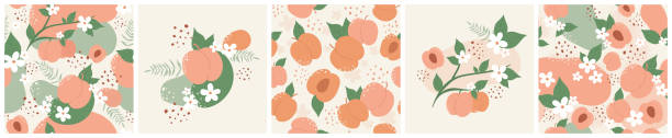 ilustraciones, imágenes clip art, dibujos animados e iconos de stock de fruta de melocotón, hoja y flores en conjunto de patrones botánicos, fondo floral sin costuras - nectarine peaches peach abstract