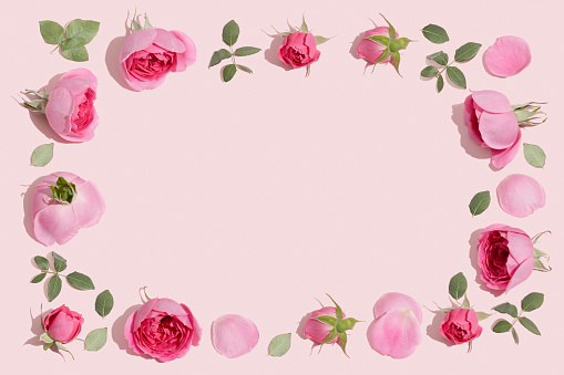 Creative flowers composition. Vintage frame made of pink rose flowers on pastel pink background. Minimal flat lay.