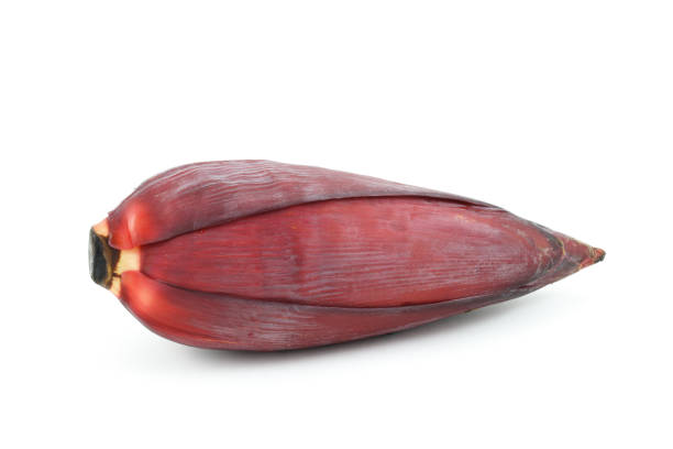 Red and ripe banana flower used in asian cuisine, on white background, isolated