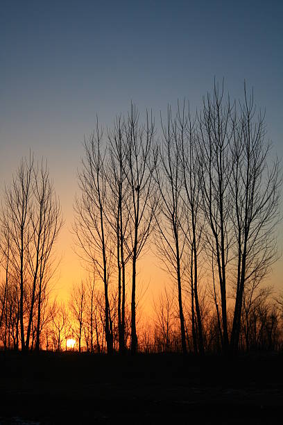 istock Beautiful sunset in winter park 140015032