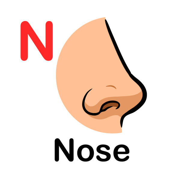 N-NOSE N-NOSE