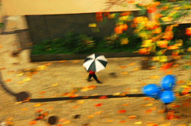 Rainy day