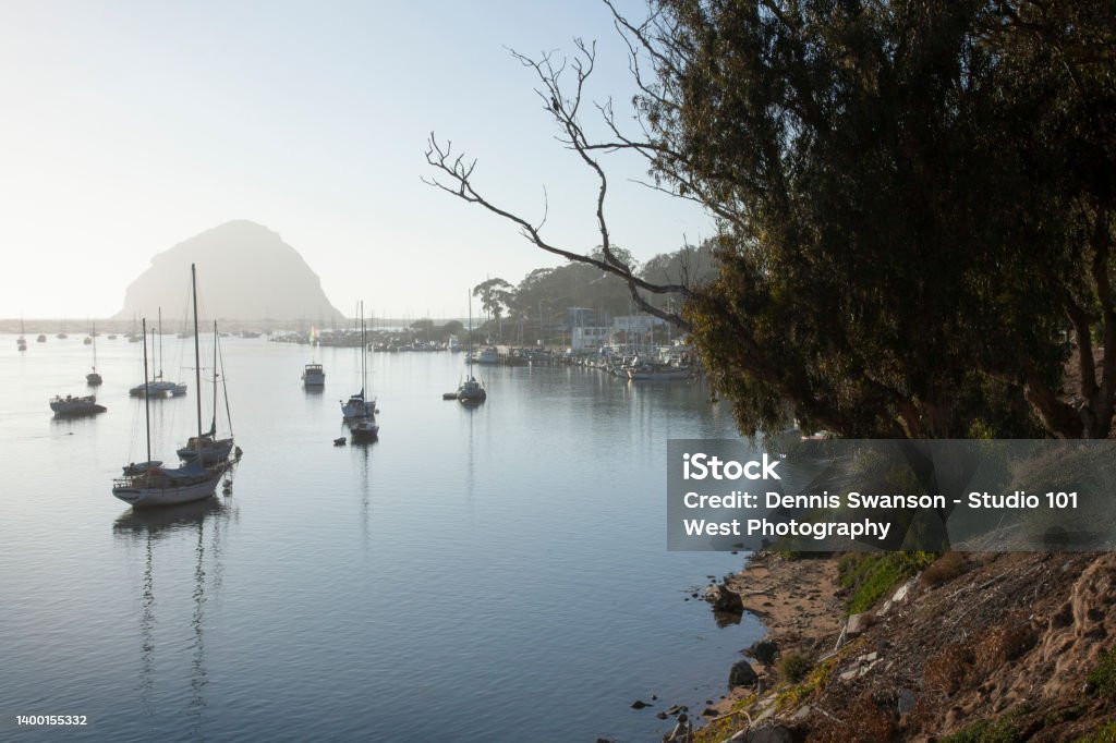 Foggy landscape of Morro Bay with calm water with sailboats moored throughout Sailboats anchored in Morro Bay with Morro Rock in background with hazy sunlight Central Coast Regional District Stock Photo