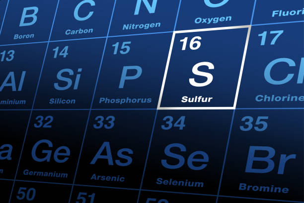 Sulfur on periodic table of the elements, with element symbol S vector art illustration