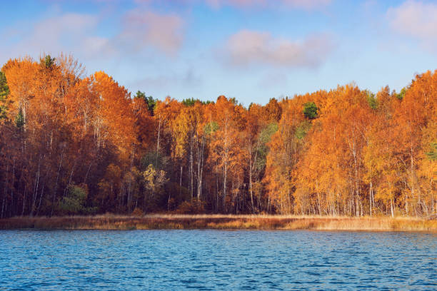 istock Autumn forest by the lake at evening time. 1400156185