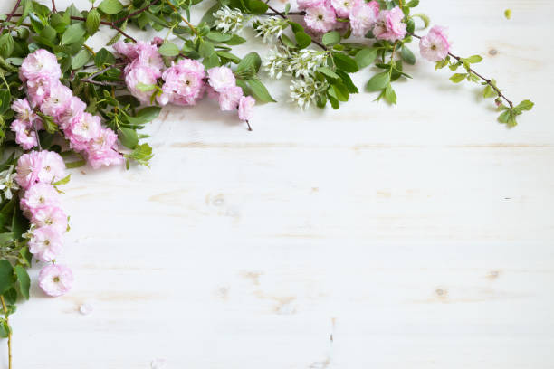 Border of branches with pink and white blossoms on white wood stock photo