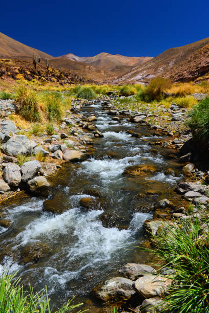 A crystal clear river on the way to the Abra del Acay pass