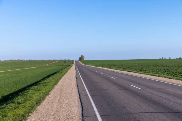 istock an asphalt road along which green plants 1400157328
