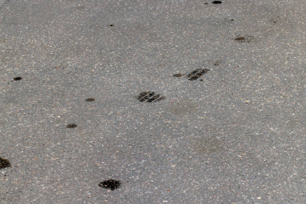 istock a highway with oil stains on the surface 1400157840