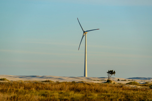Tramandai wind farm, Rio Grande do Sul, Brazil on May 14, 2016. Late afternoon light.