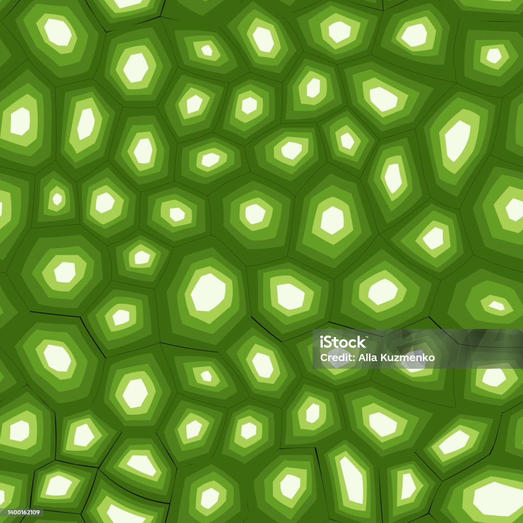 Turtle Shell Green Design Abstract Modern Turtle Shell Seamless Pattern Animals Trendy Background ...